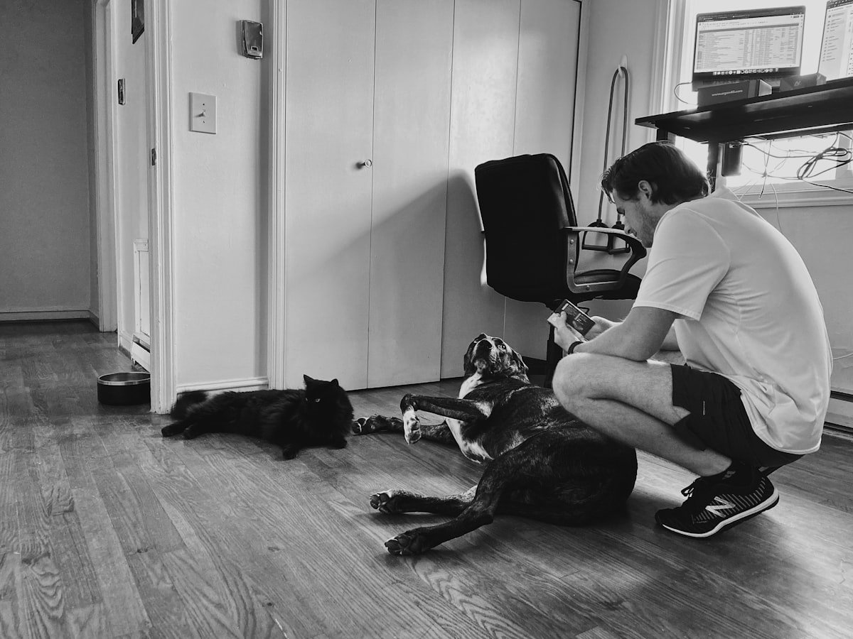 A renter relaxed at home with their dog and a laptop