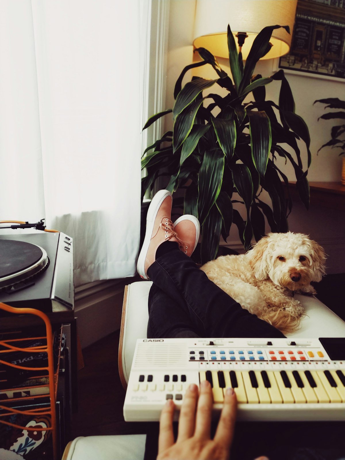 A person sharing a quiet, affectionate moment with their dog